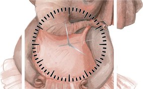Obraz - Akvarelové zvieratko N⁰5 (s hodinami) (90x30 cm)