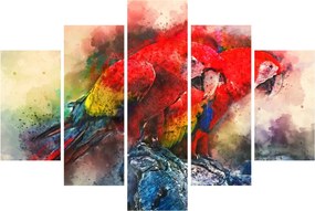 Obraz červených papagájov ara (150x105 cm)