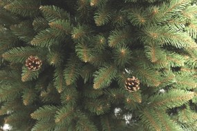 Vianočný stromček Smrek horský so šiškou 220 cm
