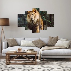 Obraz leva v prírode (150x105 cm)