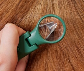 Pinzeta na kliešte pre zvieratá s LED svetlom