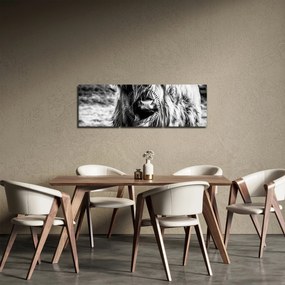 Obraz - Highland - Škótska krava (s hodinami) (90x30 cm)