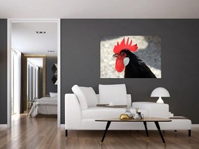 Obraz na stenu - sliepky
