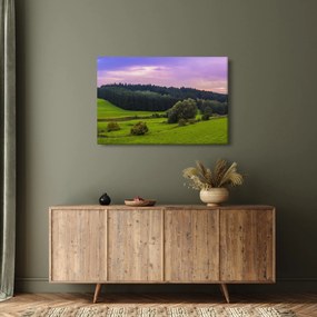 Obraz lúky (90x60 cm)