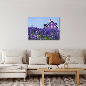 Obraz levanduľového poľa (70x50 cm)