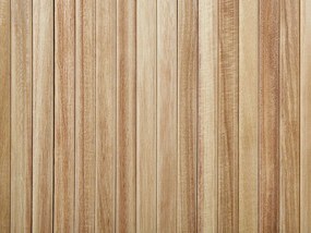 Drevená 2-dverová komoda svetlé drevo/čierna CARNEY Beliani