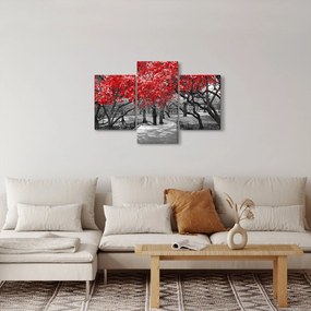 Obraz - Červené stromy, Central Park, New York (90x60 cm)