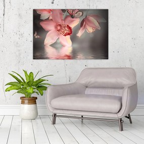Obraz - Kvety a motýľ (90x60 cm)