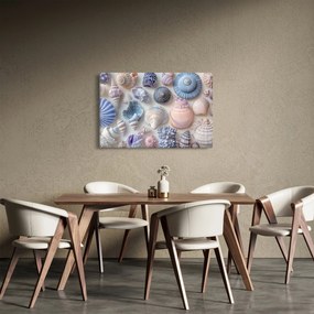 Obraz - Zbierka mušlí (90x60 cm)