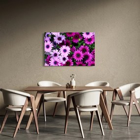 Obraz - Kvety (90x60 cm)