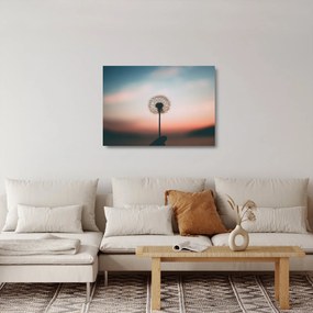 Sklenený obraz - Držím ťa, púpava (70x50 cm)