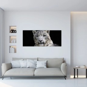 Obraz - Leopard snežný (120x50 cm)