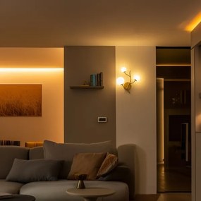 Brilagi - LED Nástenné svietidlo MISTEL 3xG9/3W/230V zlatá/biela