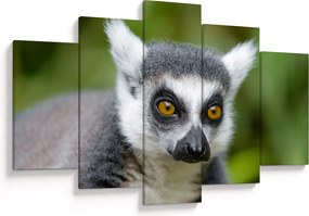 Obraz lemura (150x105 cm)
