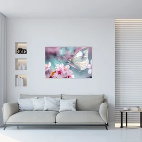 Obraz - Motýľ na čerešni (90x60 cm)