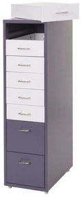 Zásuvková skrinka Boston T851 - 110x28x41cm, 8 zásuviek - tmavosivá biela-tmavosivá