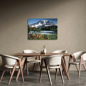 Sklenený obraz - Mount Rainier (70x50 cm)