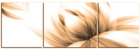 Obraz na plátne - Elegantný kvet - panoráma 5147FC (120x40 cm)