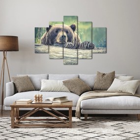 Obraz medveďa (150x105 cm)