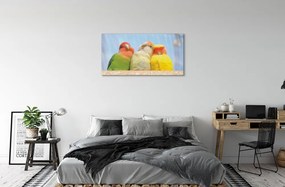 Obraz na plátne farebný papagáj 125x50 cm