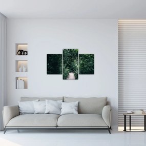 Obraz - Cesta lesom (90x60 cm)