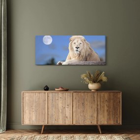 Obraz - Biely lev (120x50 cm)