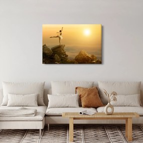 Obraz - Baletka na skale (90x60 cm)