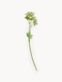 Kvetinová dekorácia Fenchel