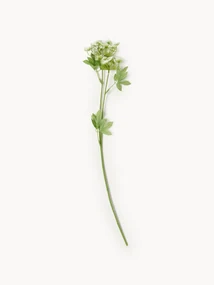 Kvetinová dekorácia Fenchel