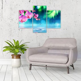 Obraz - Orchidea (90x60 cm)