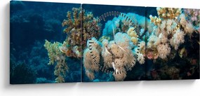 Obraz - V oceáne (s hodinami) (90x30 cm)