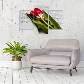 Obraz červeného tulipánu (90x60 cm)