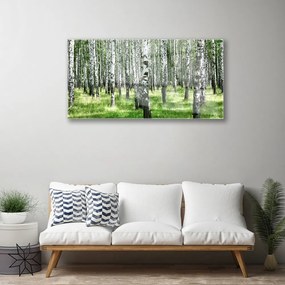 Skleneny obraz Les tráva rastlina príroda 100x50 cm
