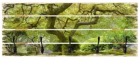 Vešiak na stenu Zelená japonská záhrada