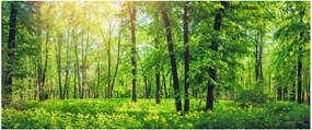 Obraz - Jarný listnatý les (120x50 cm)