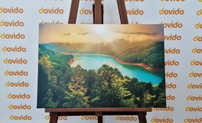 Obraz rieka uprostred zeleného lesa