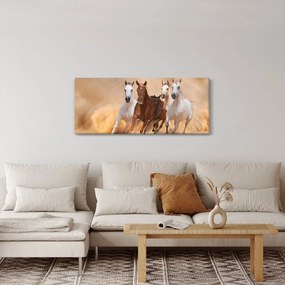 Obraz - Stádo koní (120x50 cm)