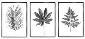 Súbor obrazov Tropical Grey 3 ks