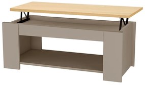 Konferenčný stolík s doskou v dubovom dekore v sivo-prírodnej farbe 105x47 cm Emerald – Støraa