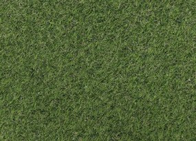 Koberce Breno Umelá tráva MONA Jungle 7604, šíře role 200 cm