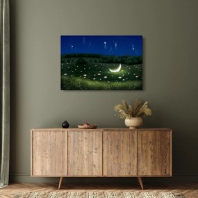 Obraz - Padajúce nebo (90x60 cm)