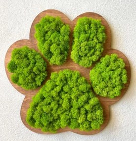 Machový obraz Labka 30 cm