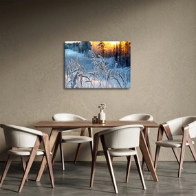 Obraz - Zimná lúka (70x50 cm)