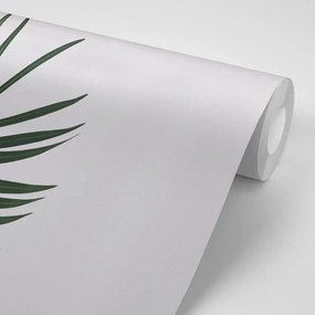 Fototapeta nádherný palmový list