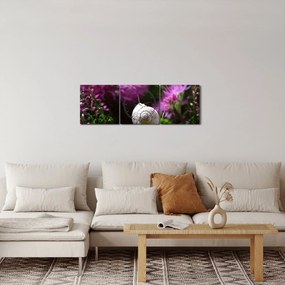 Obraz - Slimáková ulita (s hodinami) (90x30 cm)