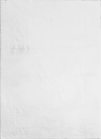 Koberec Cozy 1453 biely obdĺžnikový – polyester 16 mm vlas Rozmer: 140x200 cm