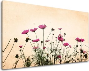 Obraz na stenu KVETY KV011E11 - 40x60 cm