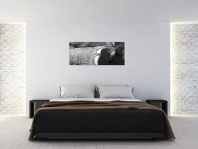 Obraz - Slonia noha (120x50 cm)