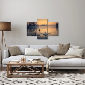 Obraz labutí na vode v hmle (90x60 cm)