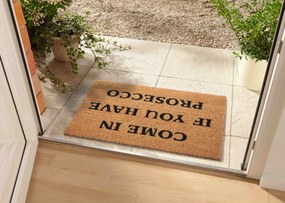 Hanse Home Collection koberce Rohožka Come in if you have prosecco 105660 – na von aj na doma - 45x75 cm